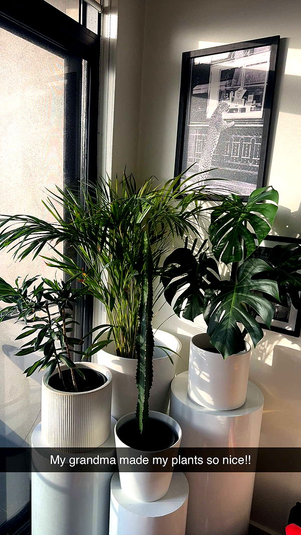 ppwyang0 image ~ Altpins