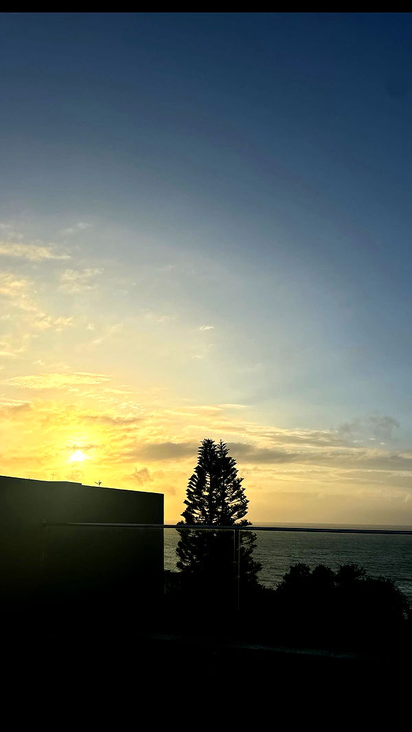 ppwyang0 image ~ Altpins