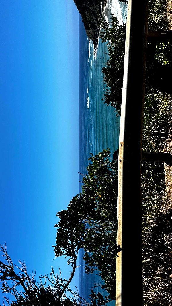 ppwyang0 image ~ Altpins