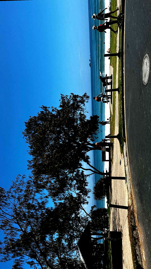 ppwyang0 image ~ Altpins