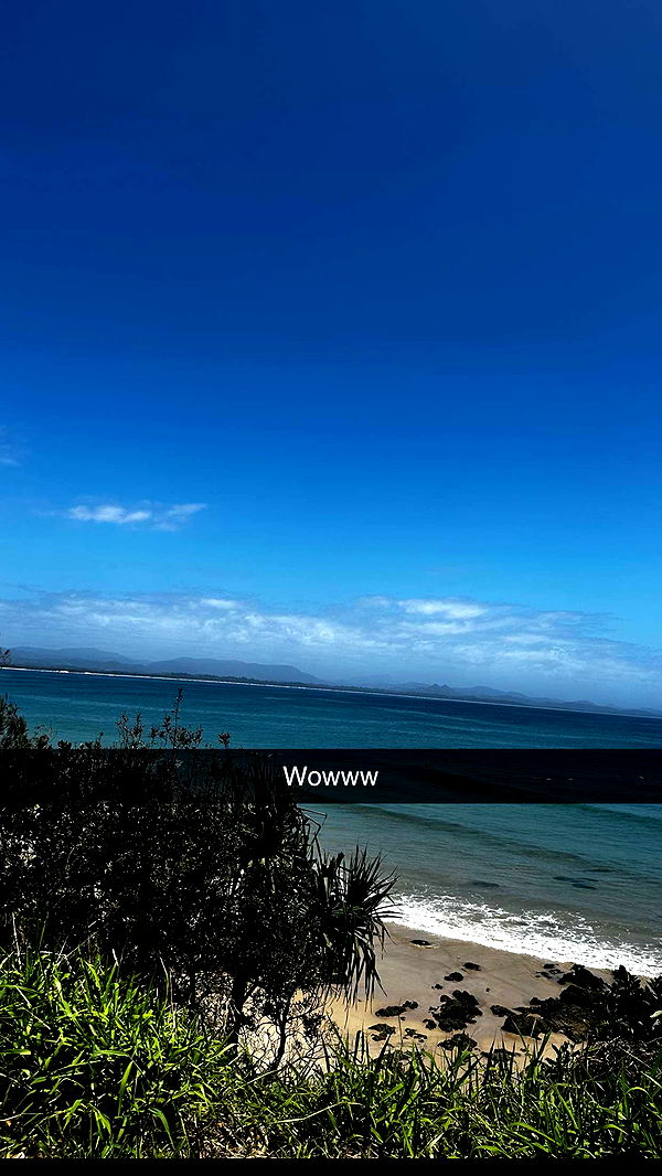 ppwyang0 image ~ Altpins