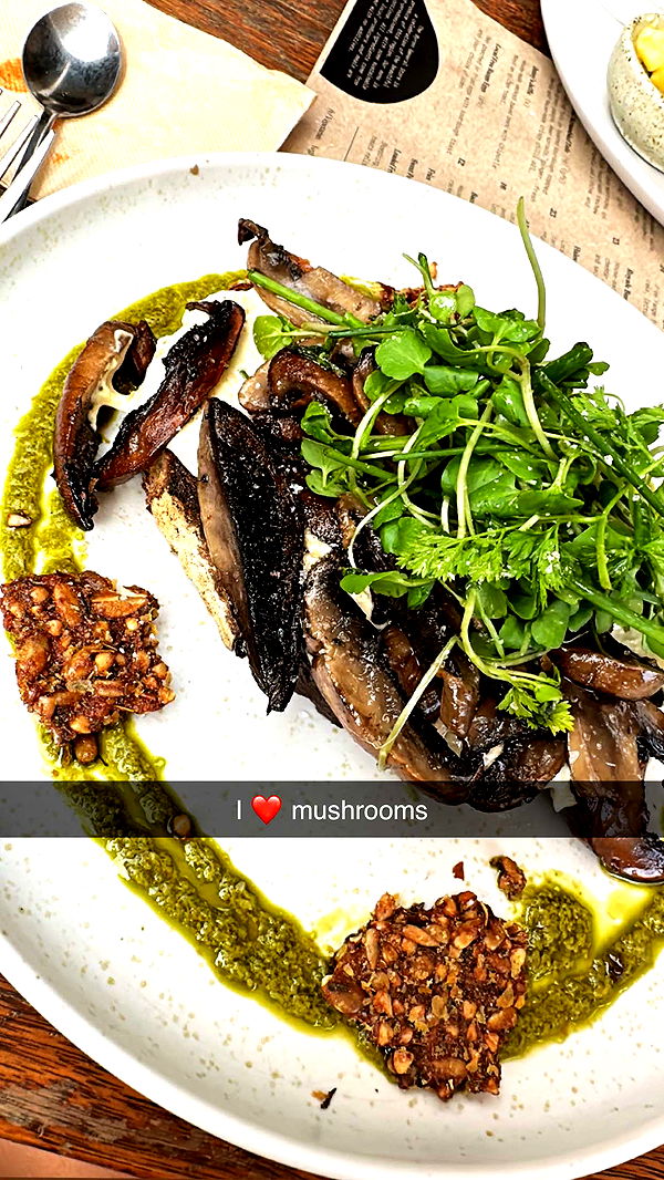 ppwyang0 image ~ Altpins