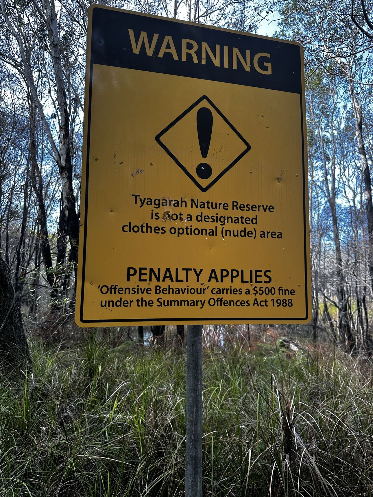 ppwyang0 snapchat image archive image