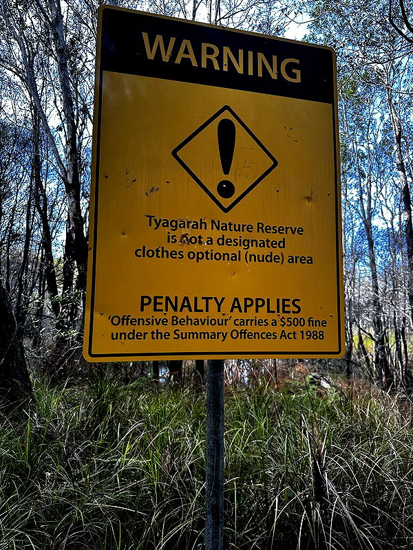 ppwyang0 image ~ Altpins