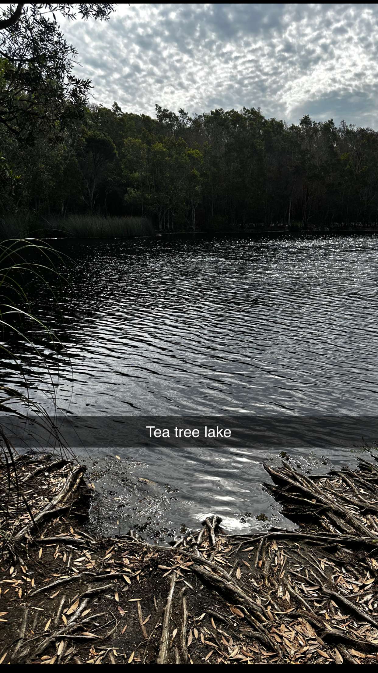 ppwyang0 snapchat image archive image