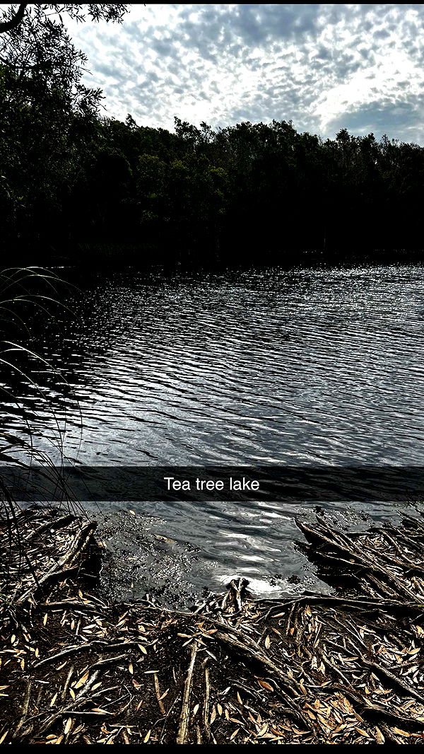 ppwyang0 image ~ Altpins