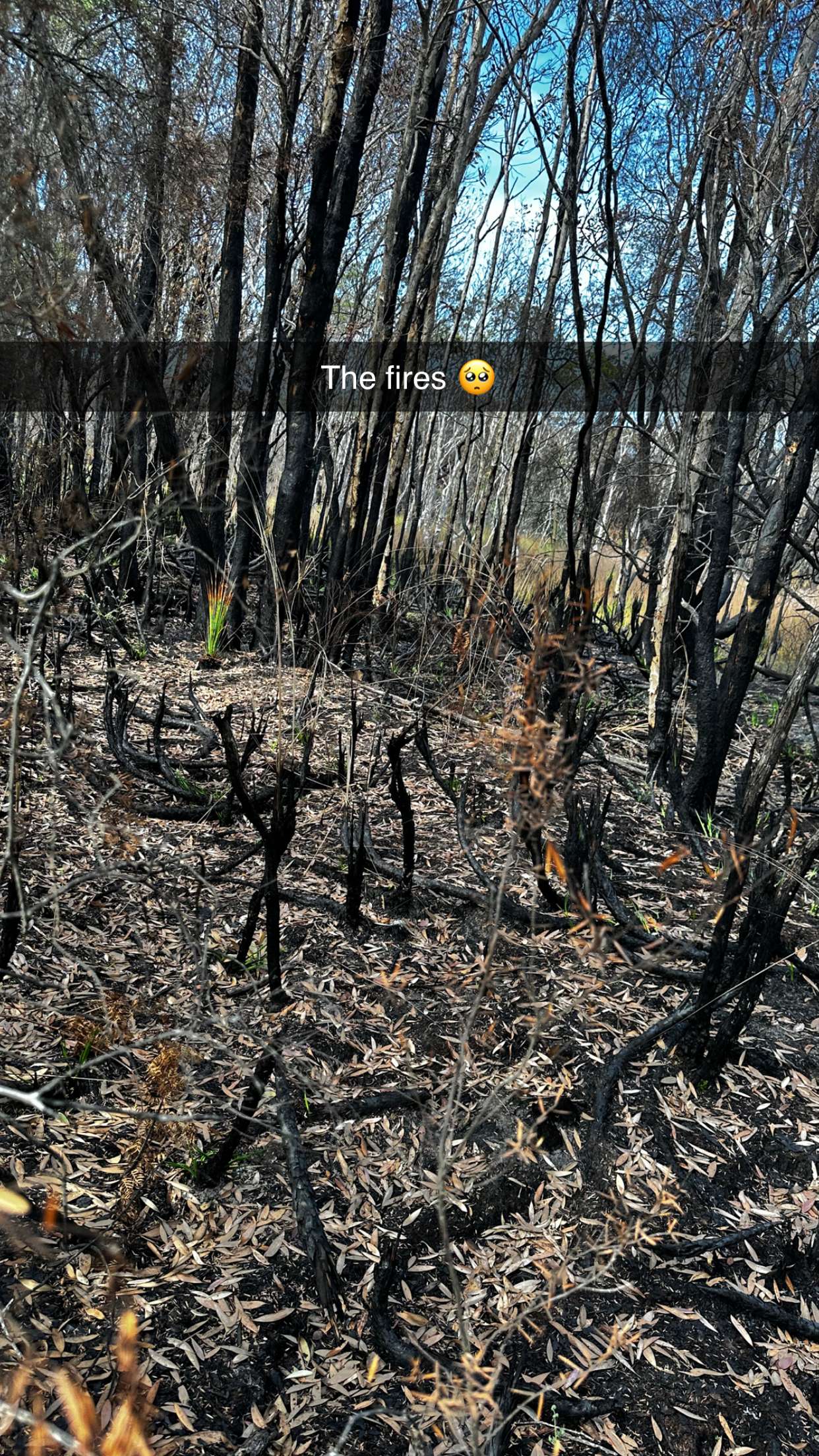 ppwyang0 snapchat image archive image