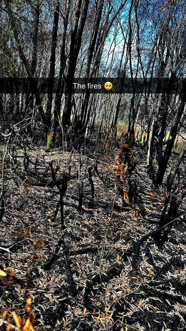 ppwyang0 image ~ Altpins