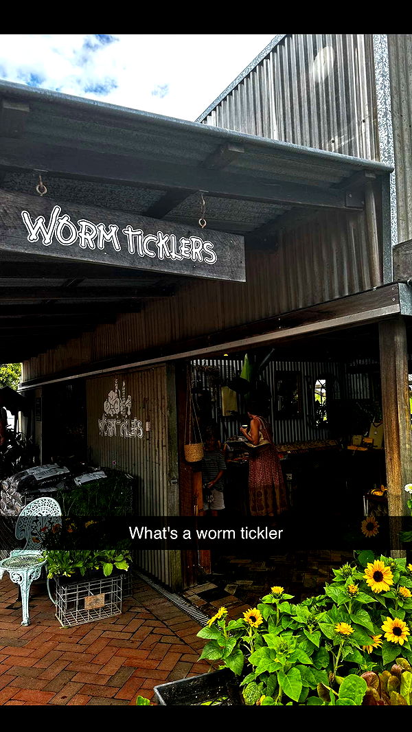 ppwyang0 image ~ Altpins