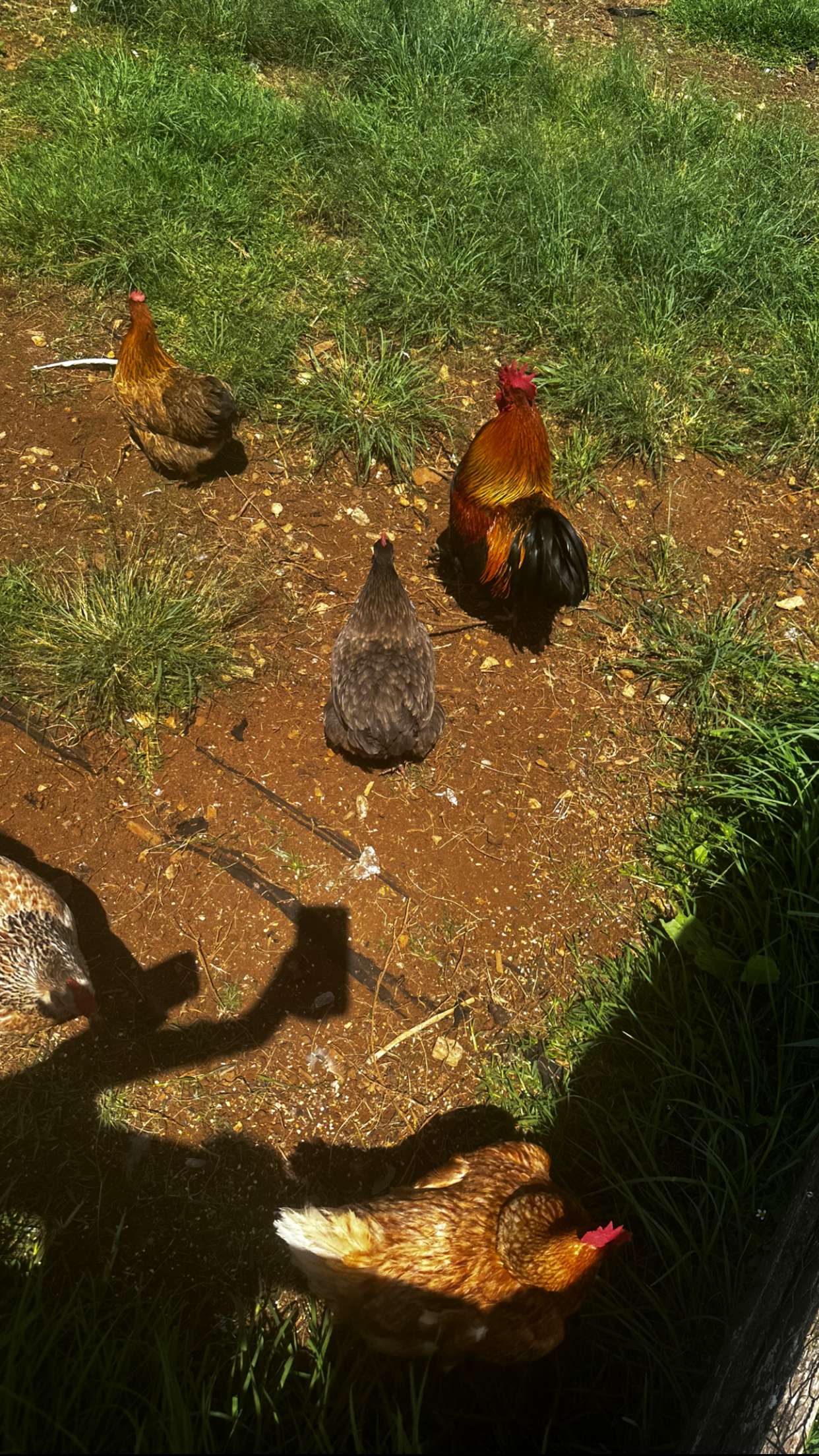 ppwyang0 snapchat image archive image