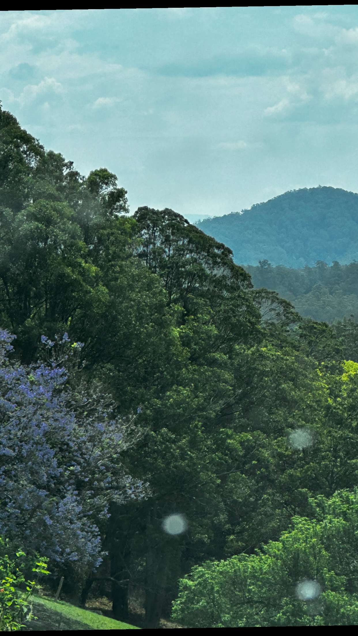 ppwyang0 snapchat image archive image