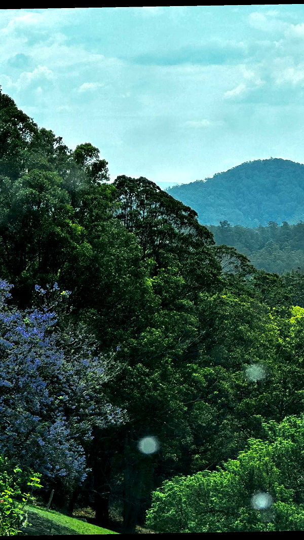 ppwyang0 image ~ Altpins