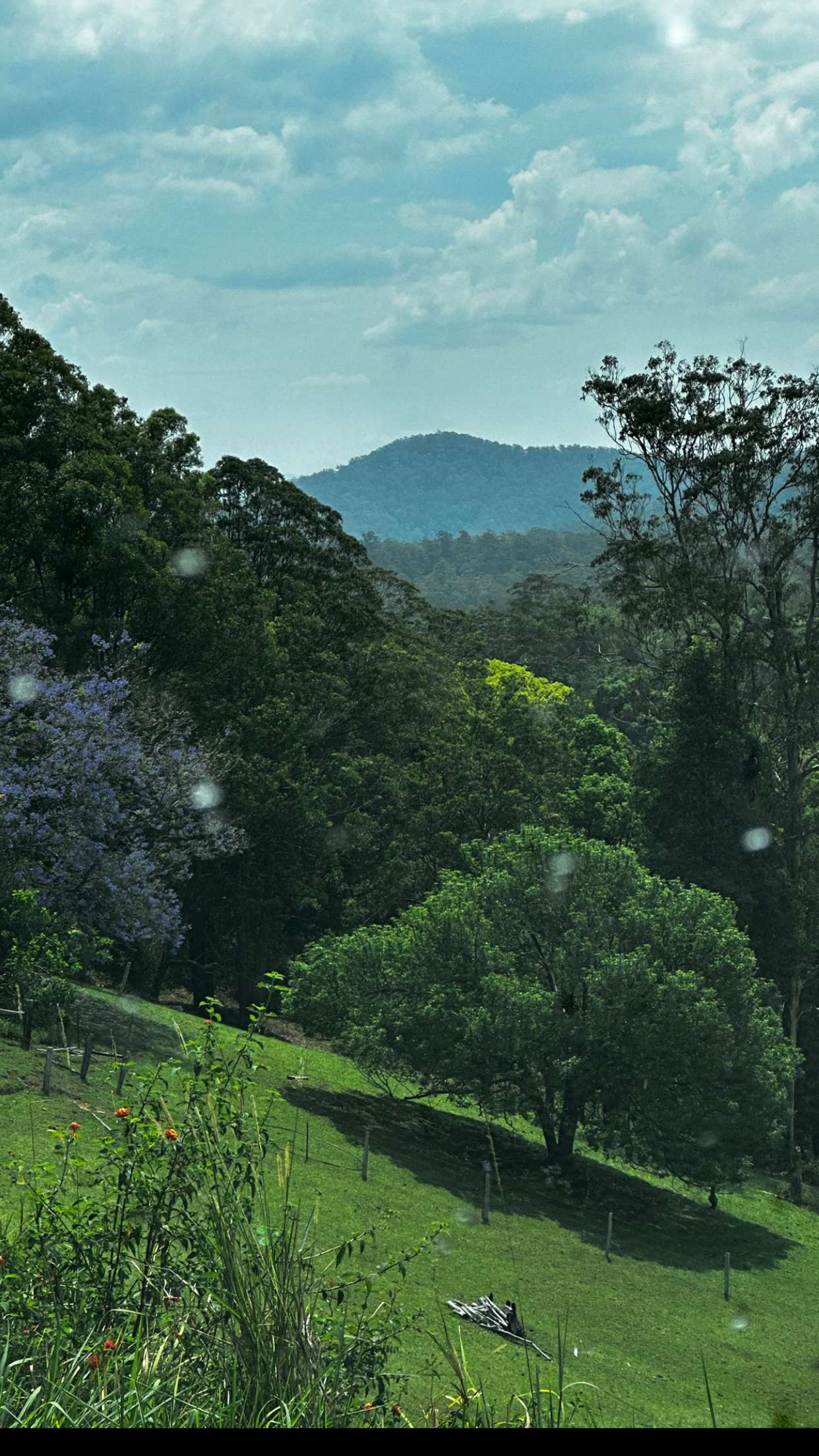 ppwyang0 snapchat image archive image