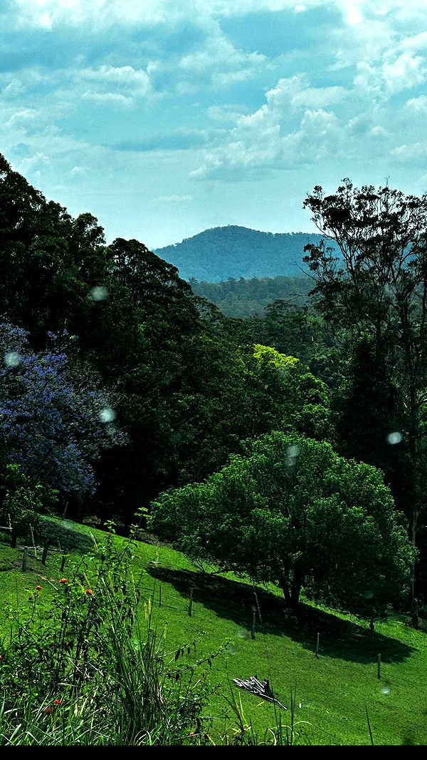 ppwyang0 image ~ Altpins