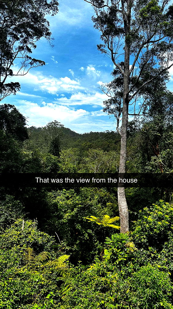 ppwyang0 image ~ Altpins