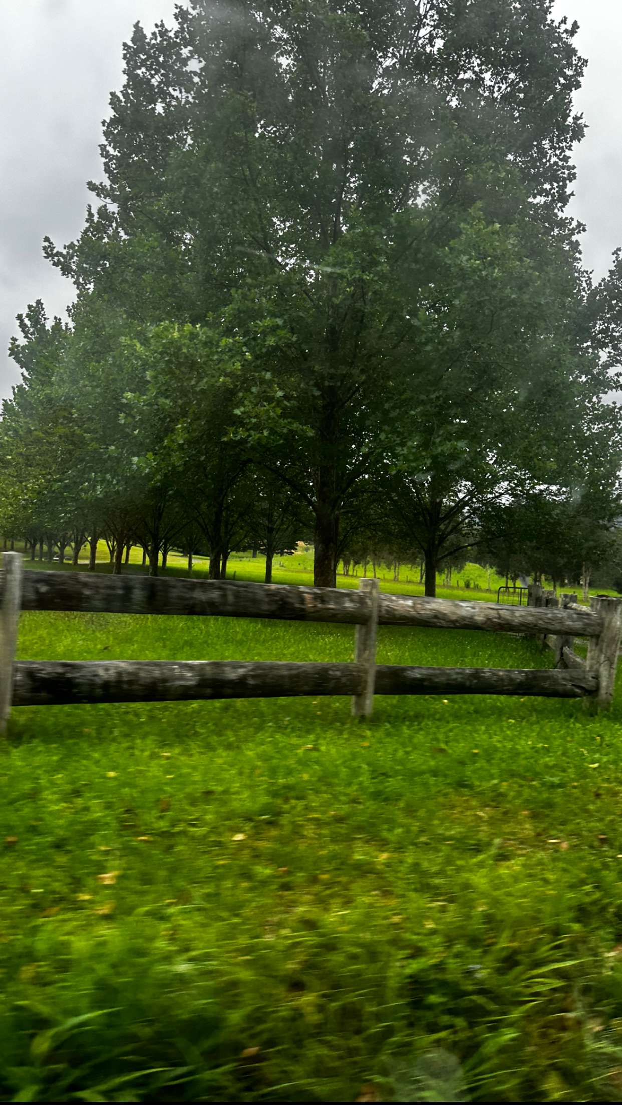 ppwyang0 snapchat image archive image