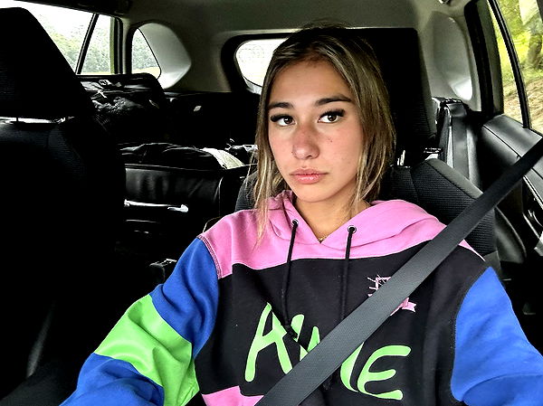 ppwyang0 image ~ Altpins