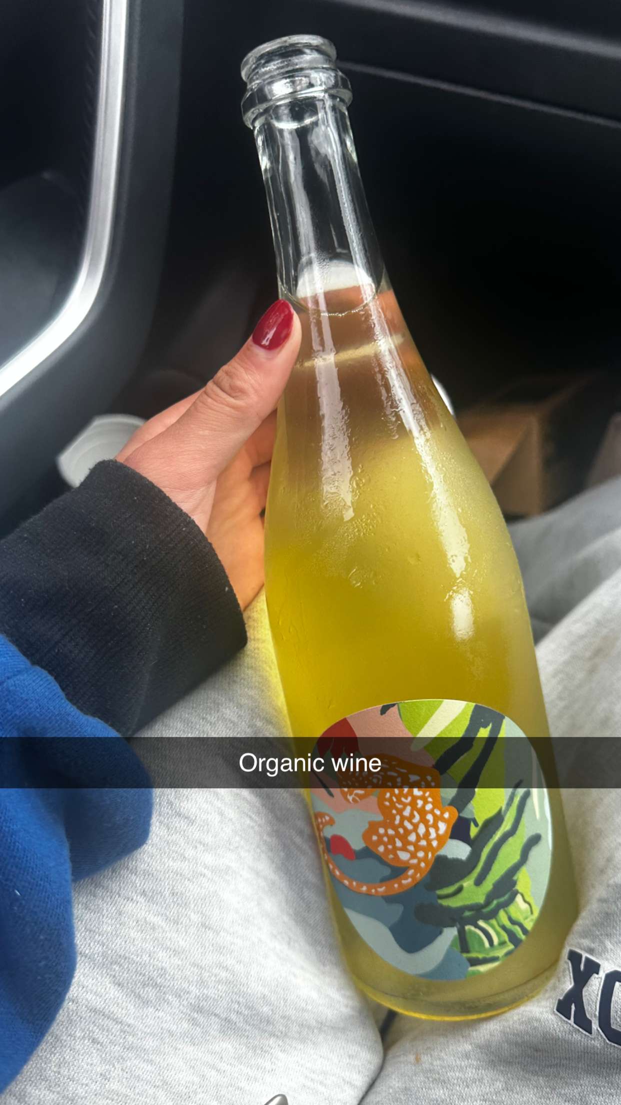 ppwyang0 snapchat image archive image