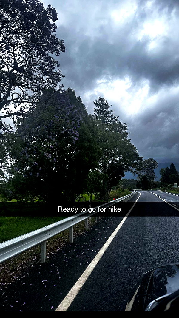 ppwyang0 image ~ Altpins