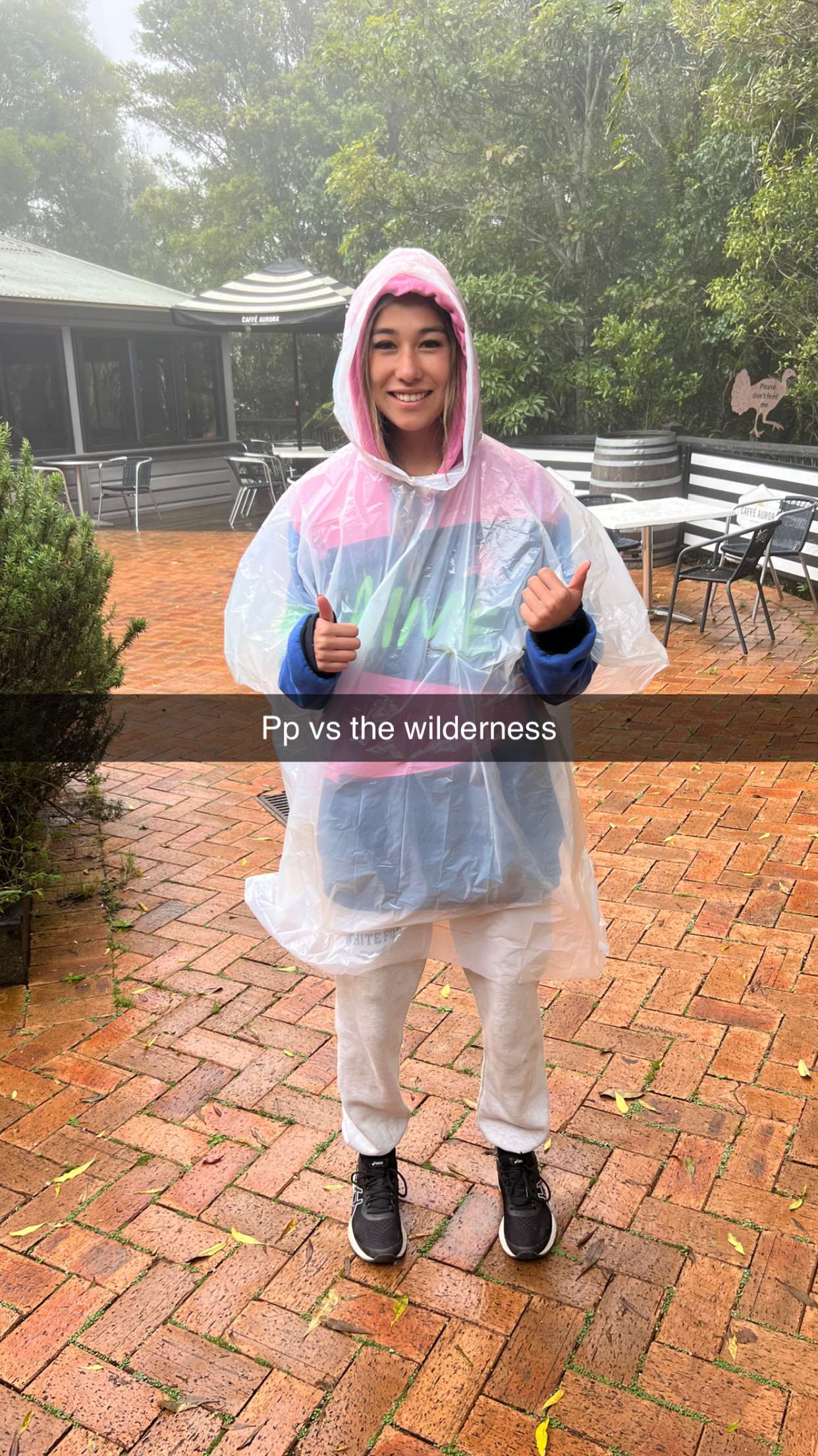 ppwyang0 snapchat image archive image