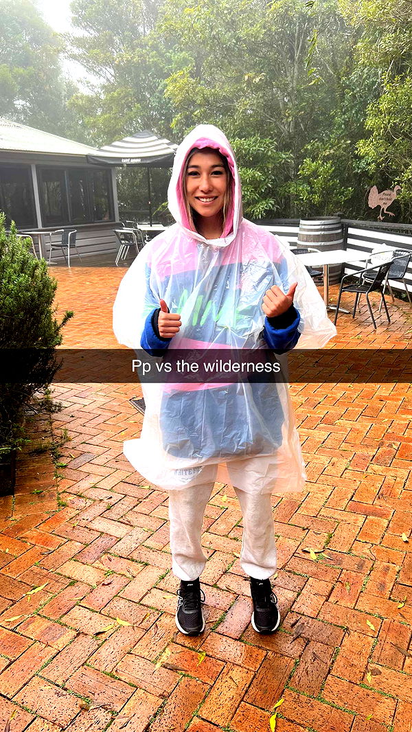 ppwyang0 image ~ Altpins