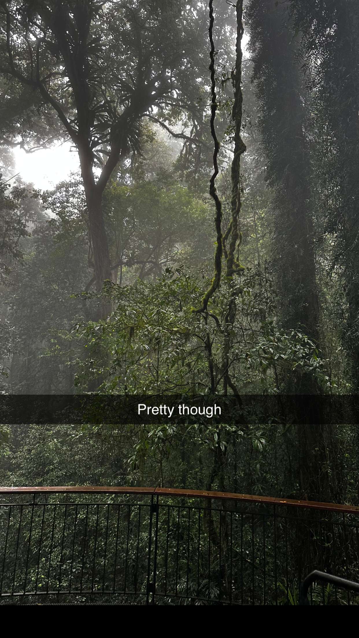 ppwyang0 snapchat image archive image