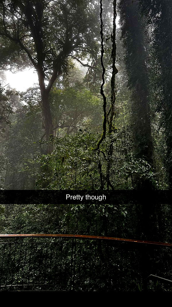 ppwyang0 image ~ Altpins