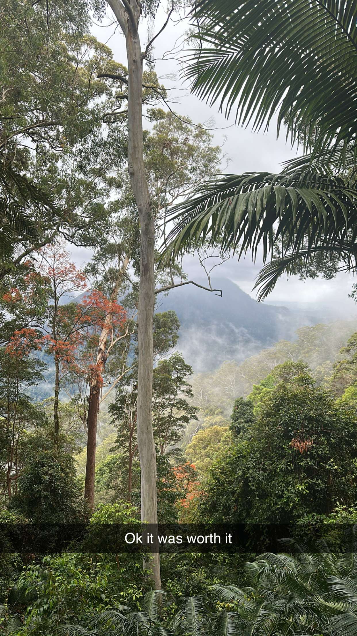 ppwyang0 snapchat image archive image