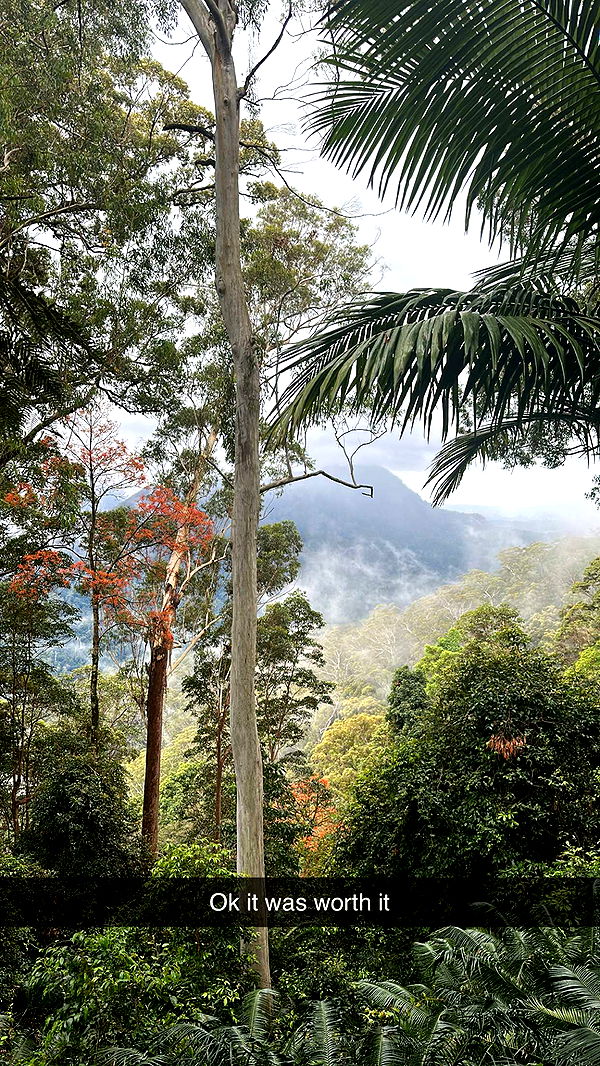 ppwyang0 image ~ Altpins