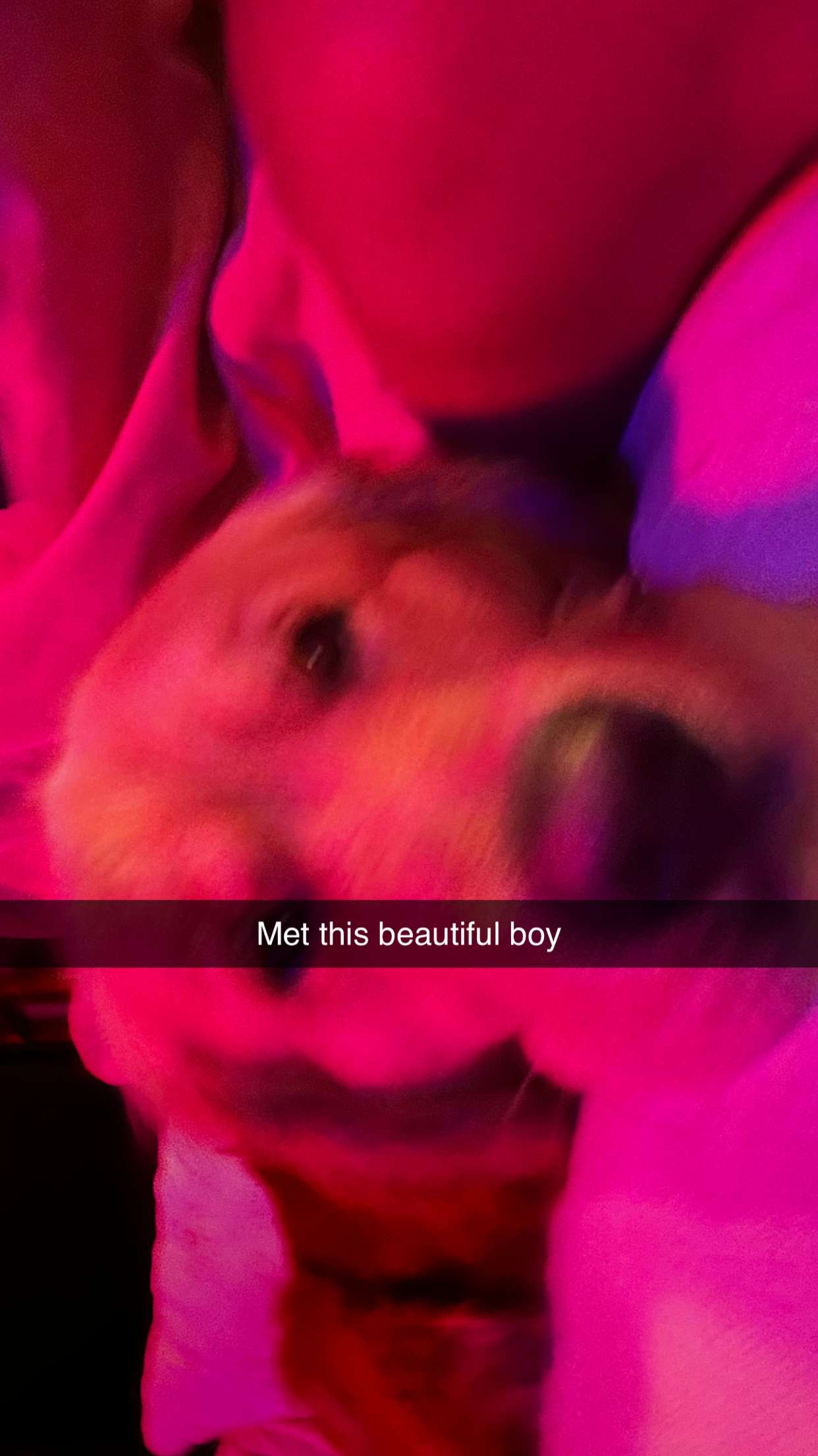 ppwyang0 snapchat image archive image