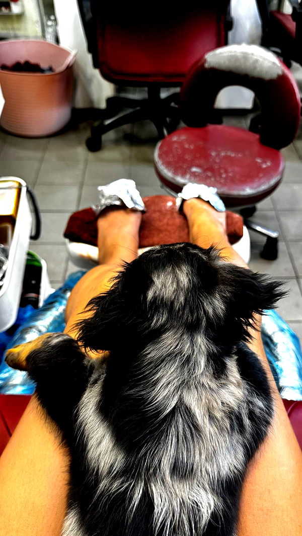 ppwyang0 image ~ Altpins