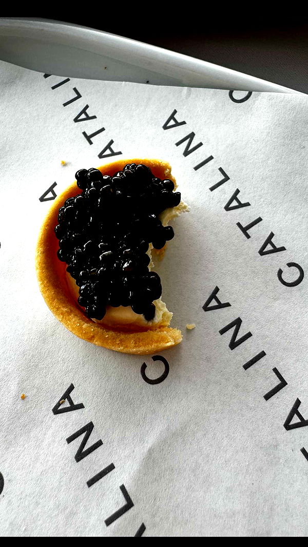 ppwyang0 image ~ Altpins