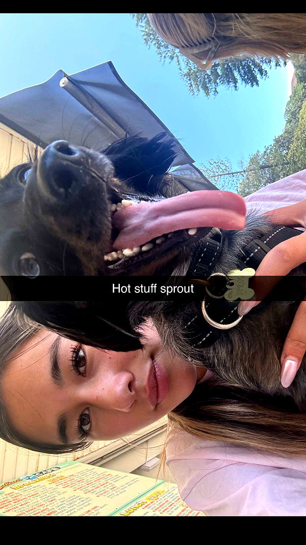 ppwyang0 image ~ Altpins