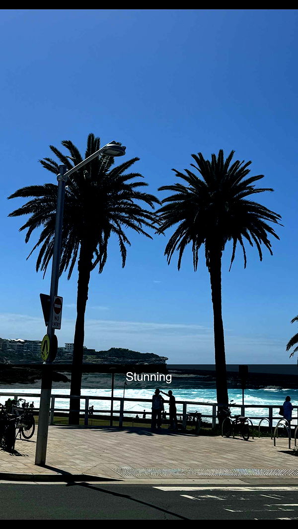 ppwyang0 image ~ Altpins