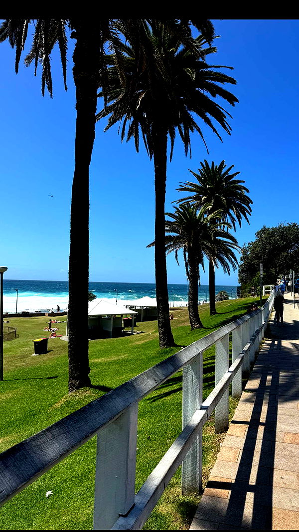 ppwyang0 image ~ Altpins