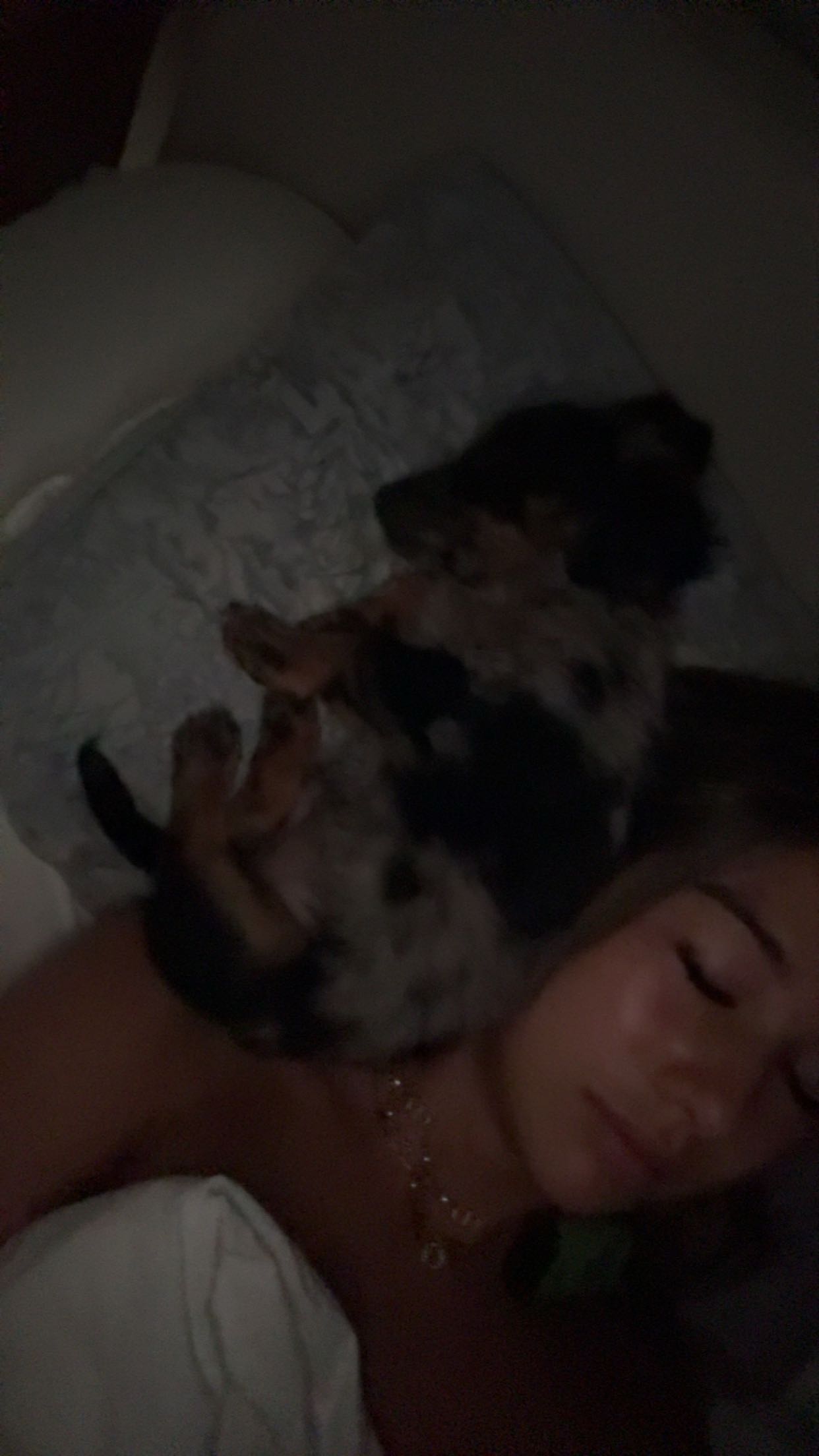 ppwyang0 snapchat image archive image