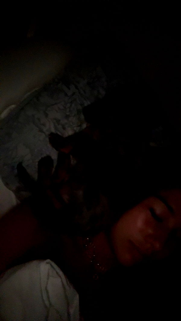 ppwyang0 image ~ Altpins