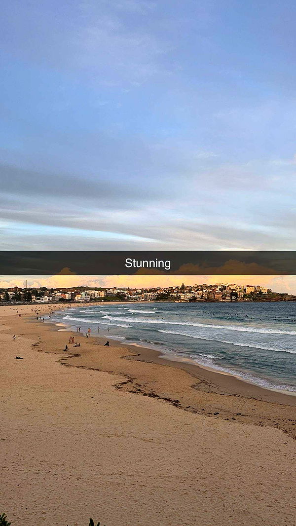 ppwyang0 image ~ Altpins