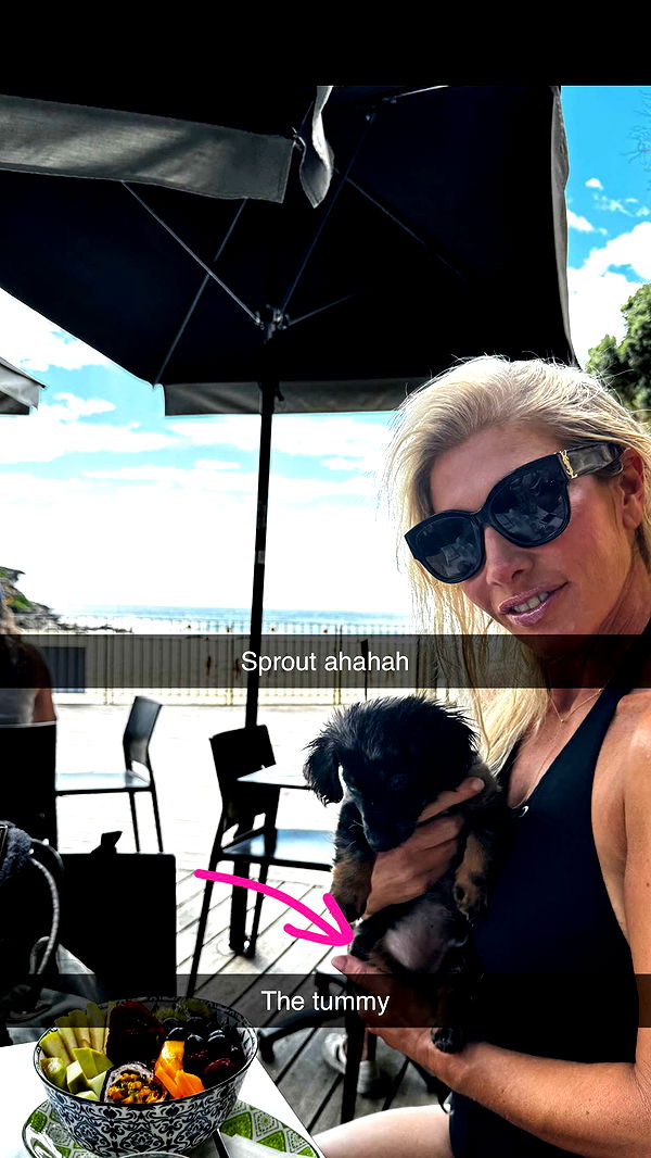 ppwyang0 image ~ Altpins