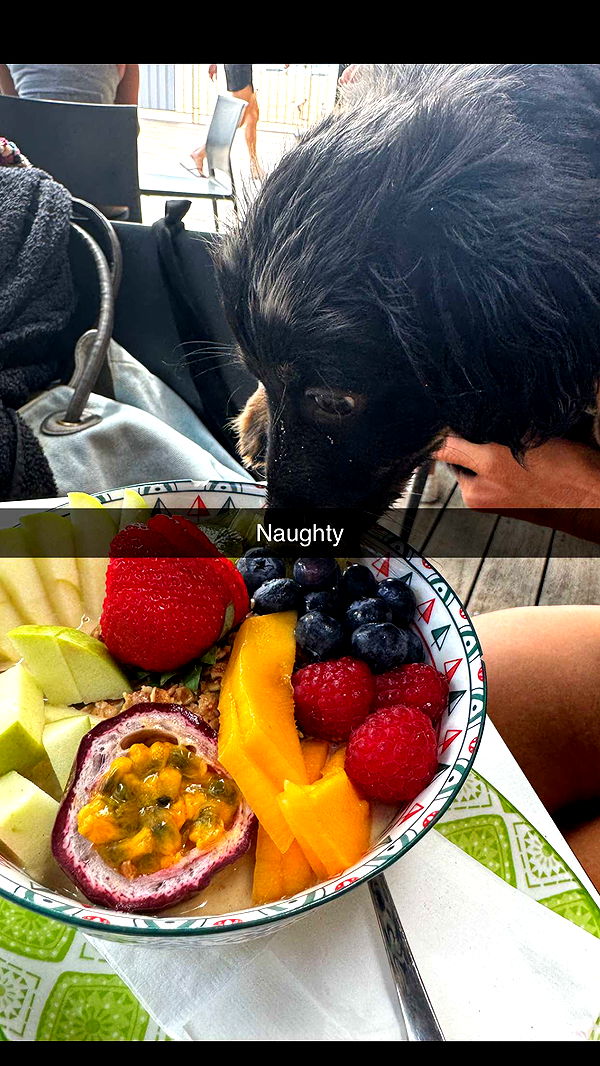 ppwyang0 image ~ Altpins