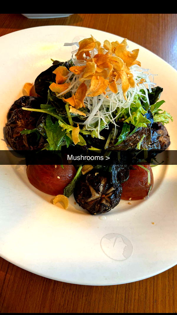 ppwyang0 image ~ Altpins