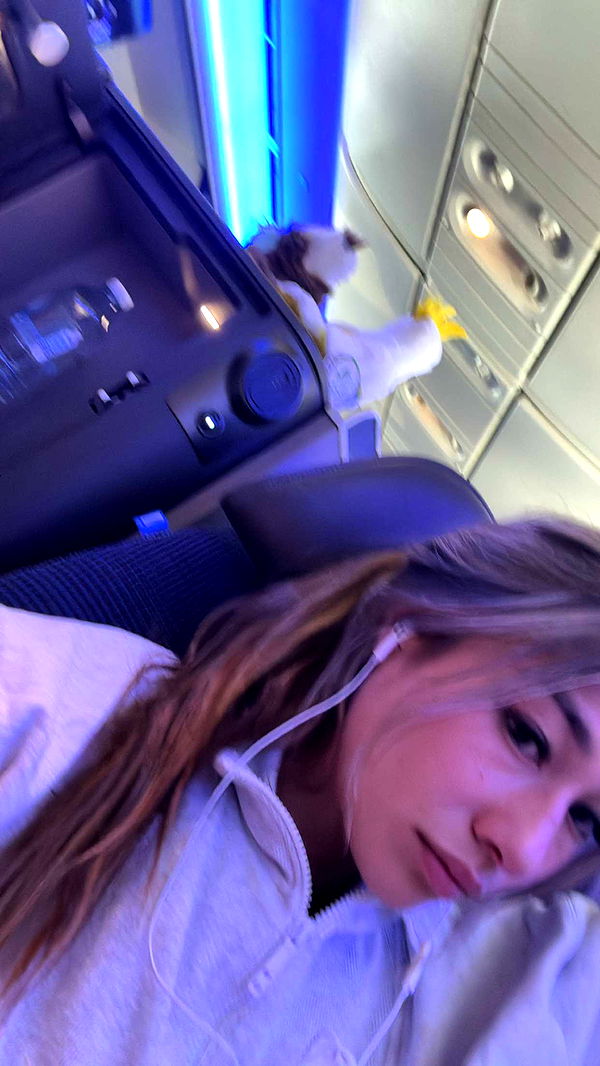 ppwyang0 image ~ Altpins