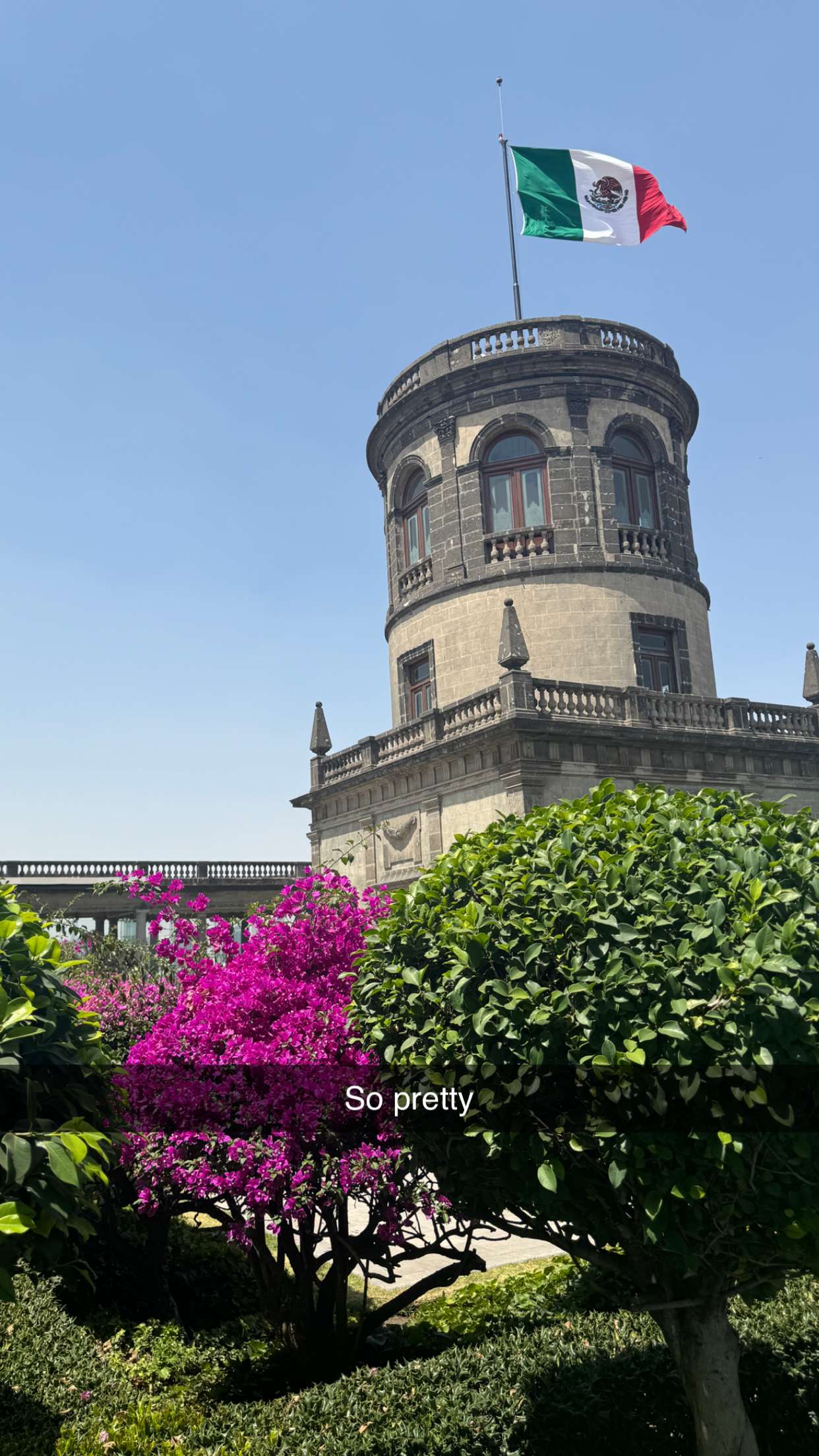 ppwyang0 snapchat image archive image