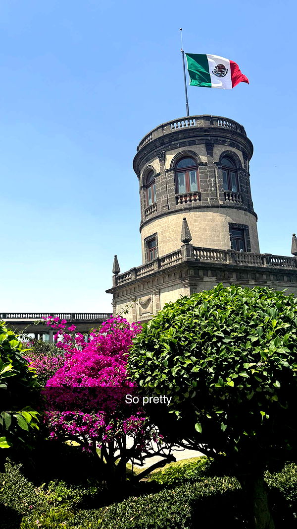 ppwyang0 image ~ Altpins