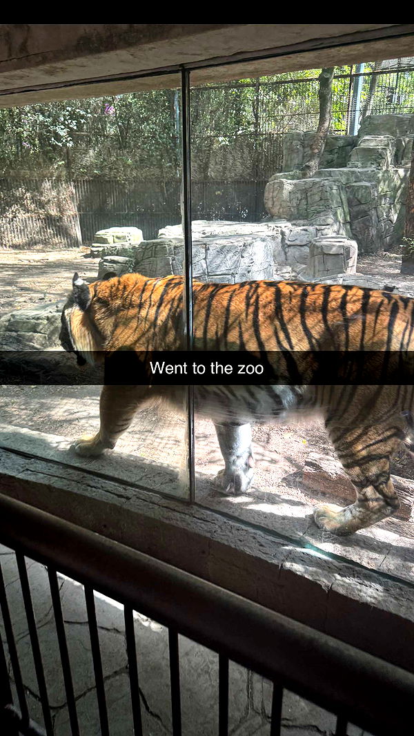 ppwyang0 image ~ Altpins