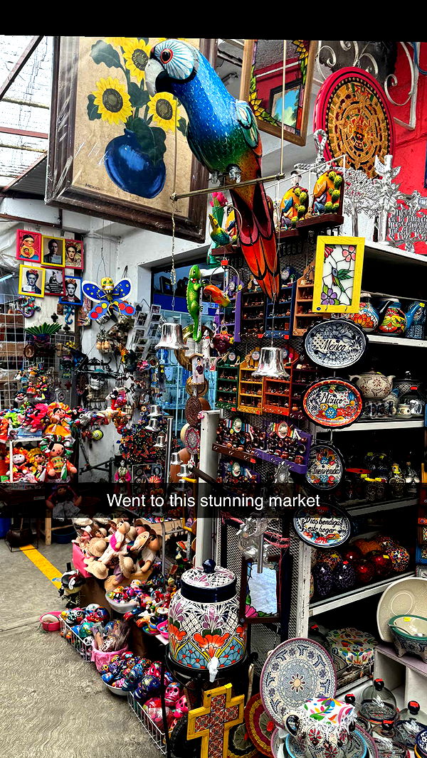 ppwyang0 image ~ Altpins