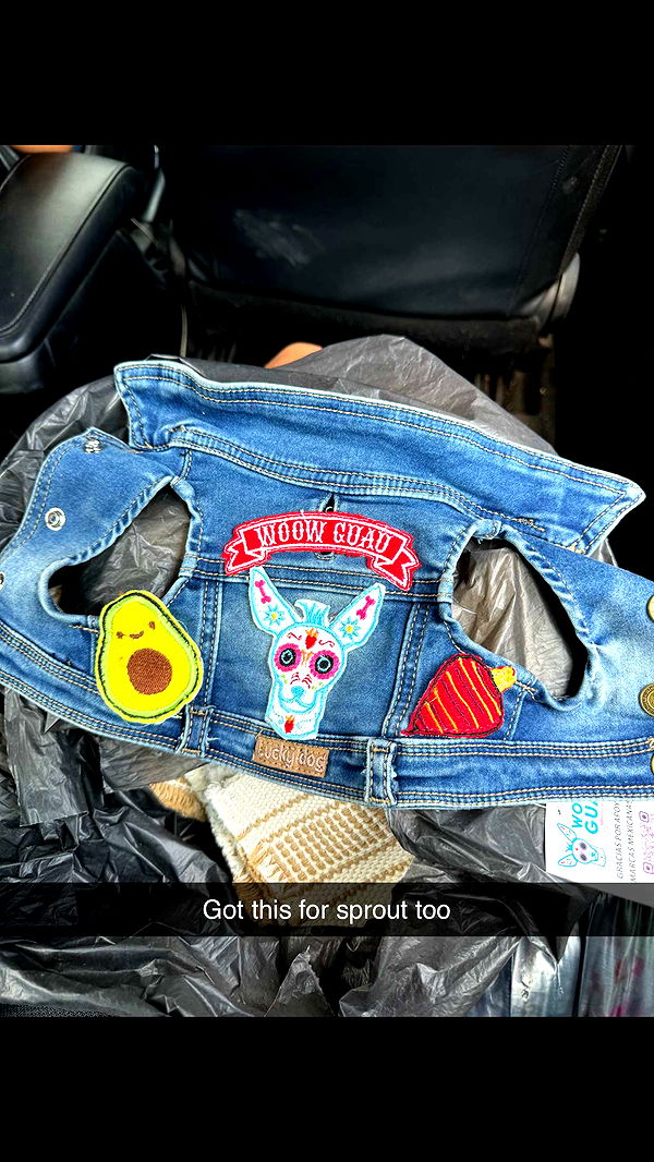 ppwyang0 image ~ Altpins