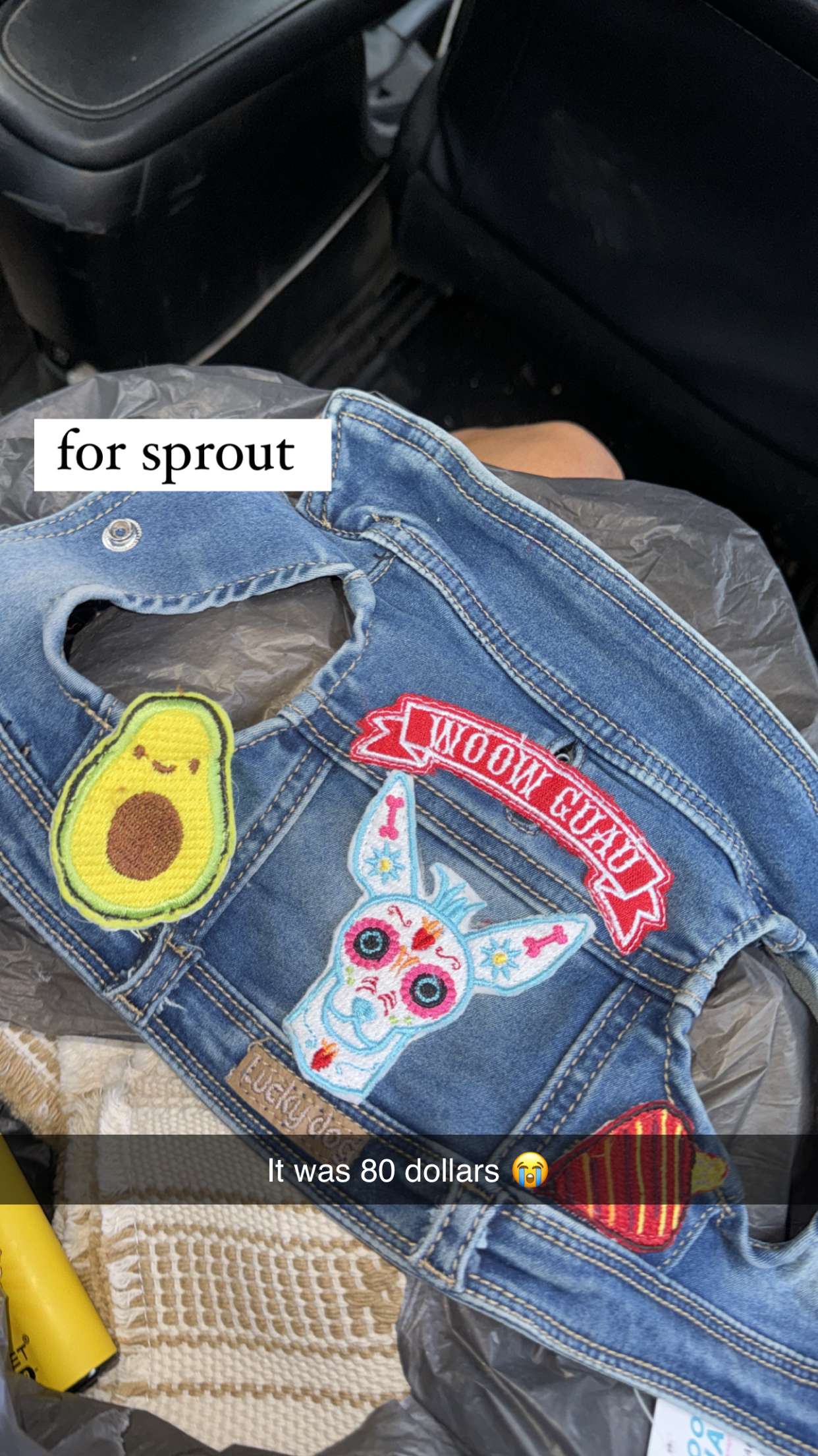 ppwyang0 snapchat image archive image