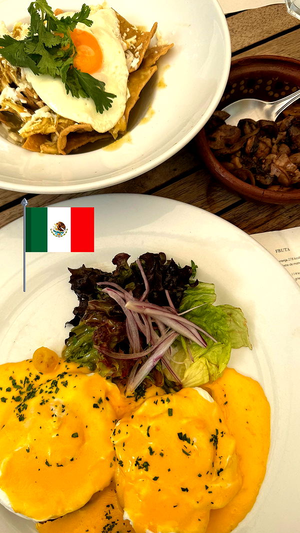 ppwyang0 image ~ Altpins