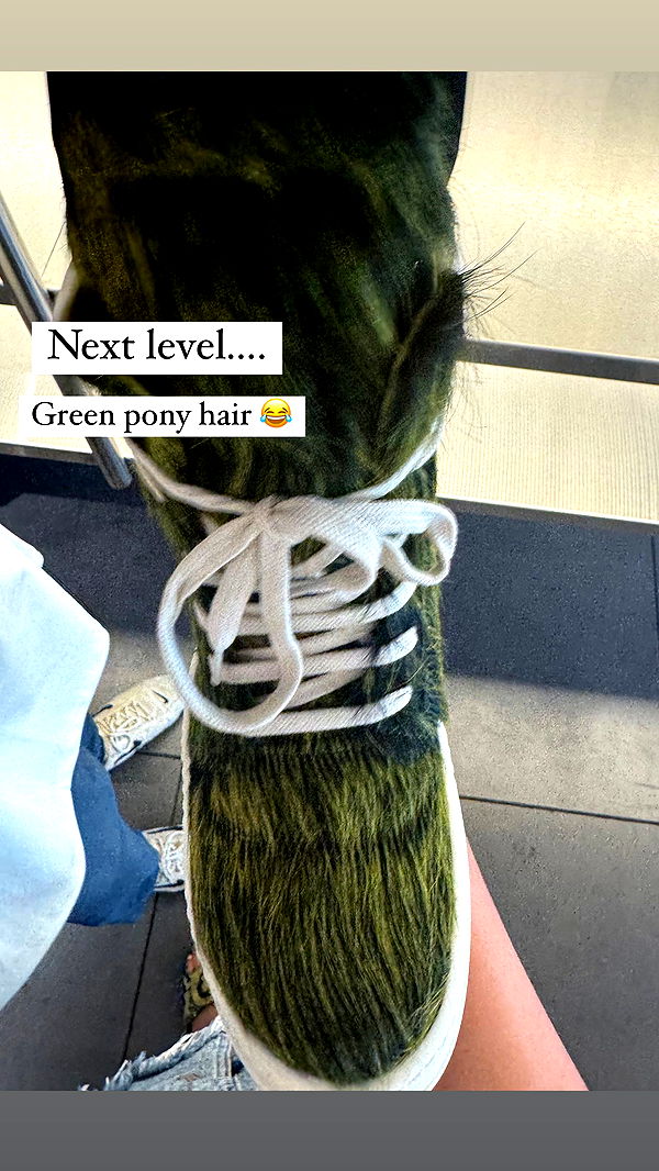 ppwyang0 image ~ Altpins